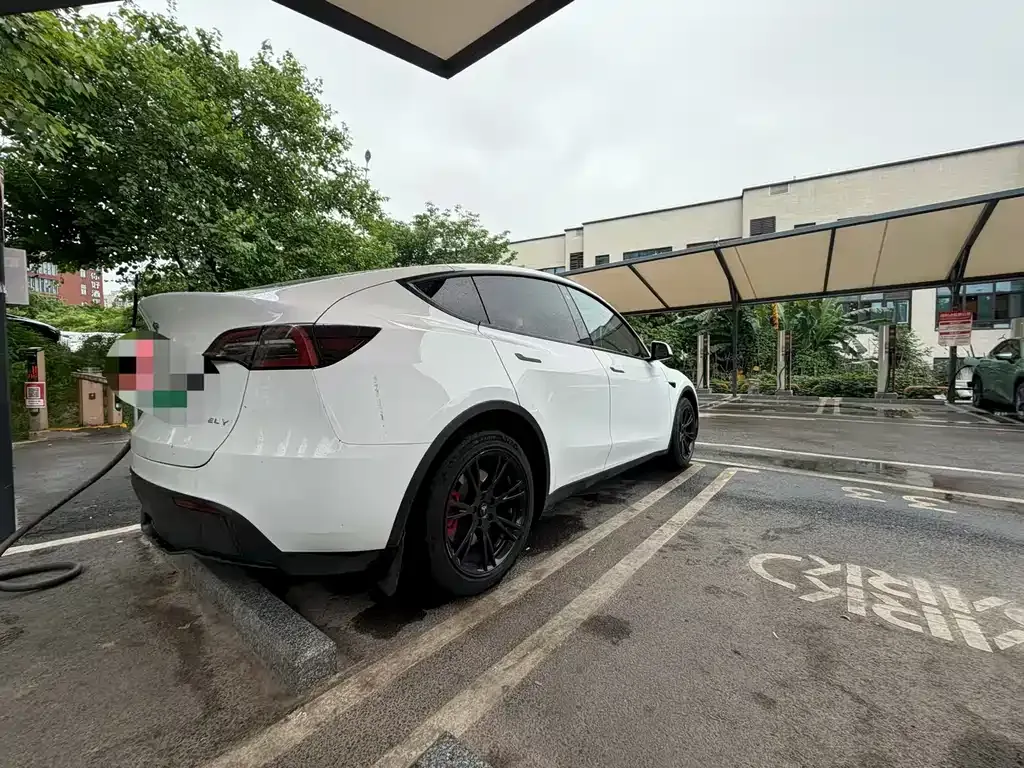 Tesla Model Y — фото 5