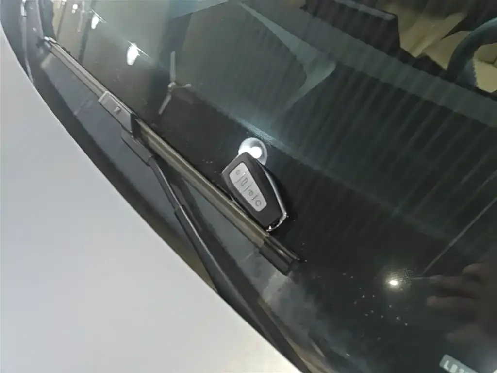 Geely Boyue L 2024 из CN, фото 3