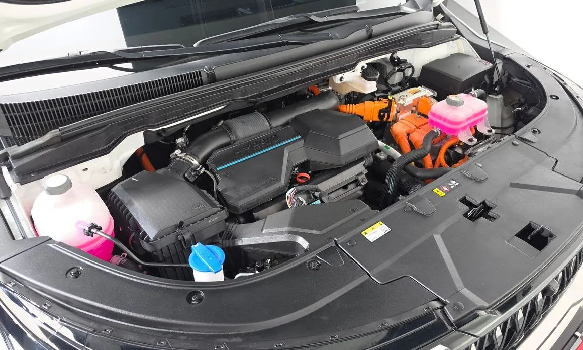 Kia Carnival 2024 из KR, фото 9