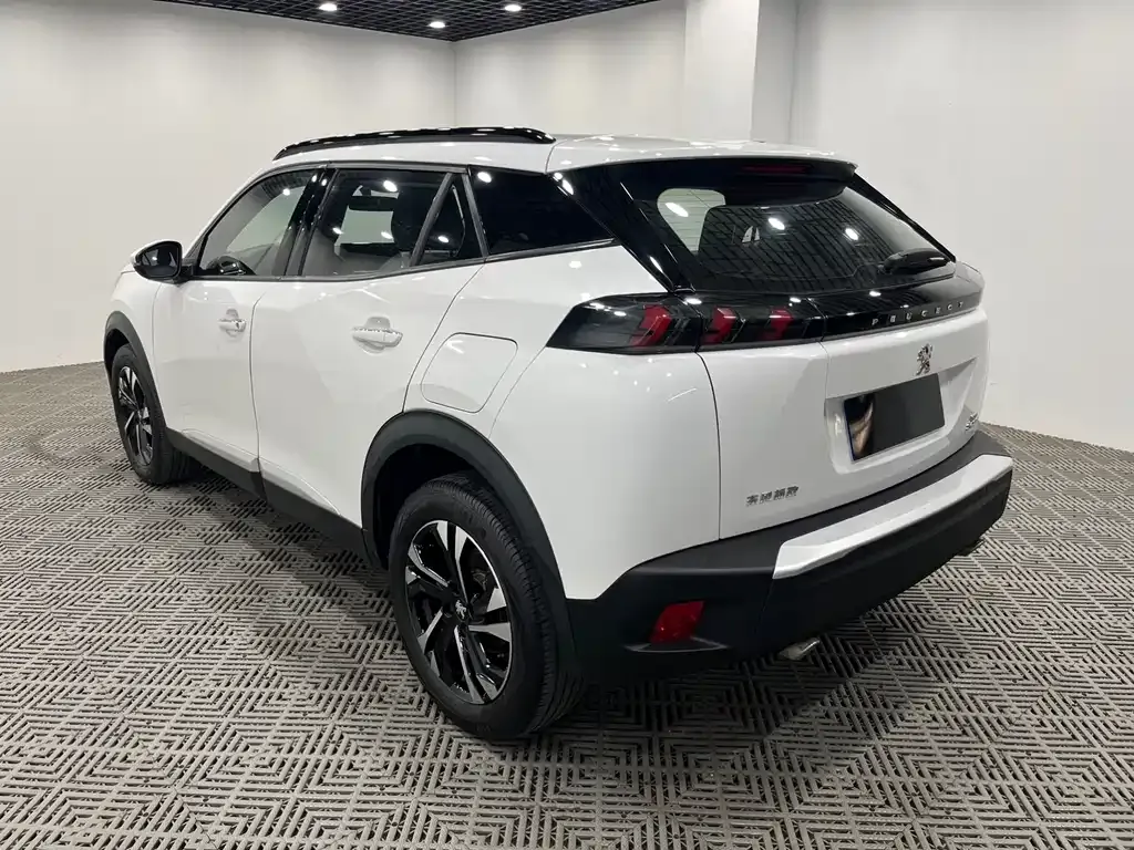 Peugeot 2008 2021 из CN, фото 6