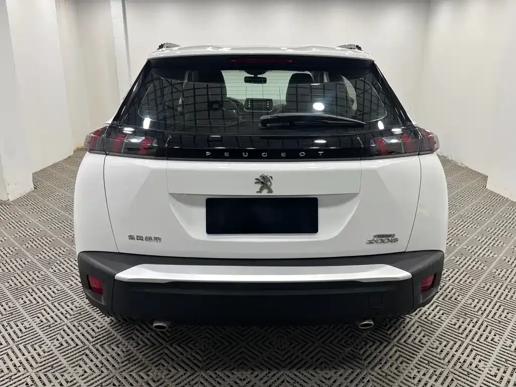 Peugeot 2008 2021 из CN, фото 5