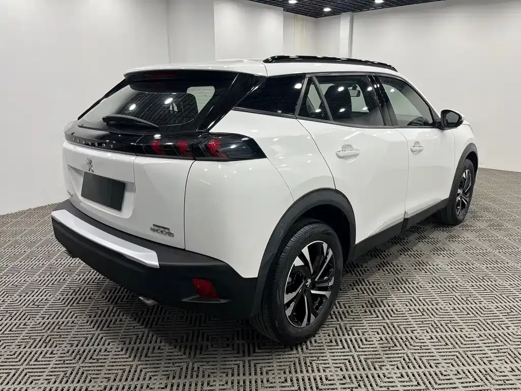 Peugeot 2008 2021 из CN, фото 9