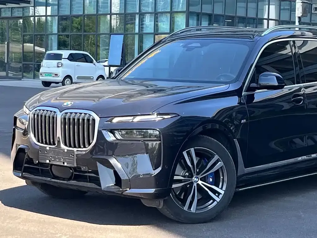 BMW X7 — фото 8