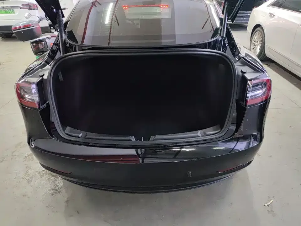 Tesla Model 3 2023 из CN, фото 3