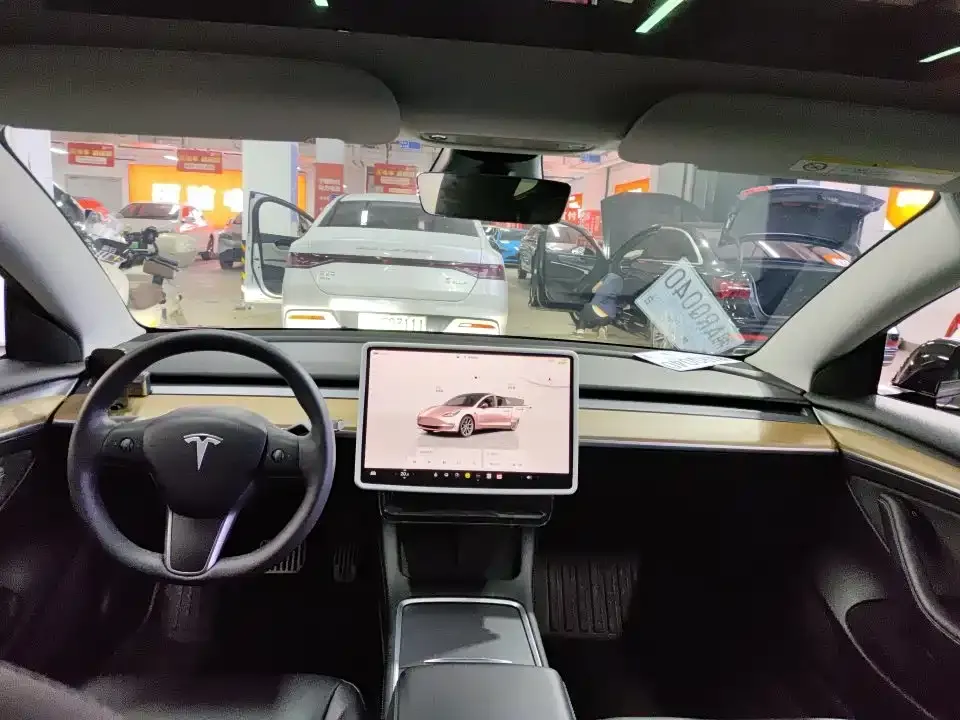 Tesla Model 3 2023 из CN, фото 2
