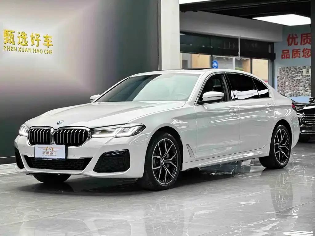 BMW 5 Series 2023 из CN, фото 1