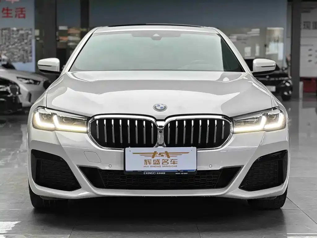 BMW 5 Series 2023 из CN, фото 5