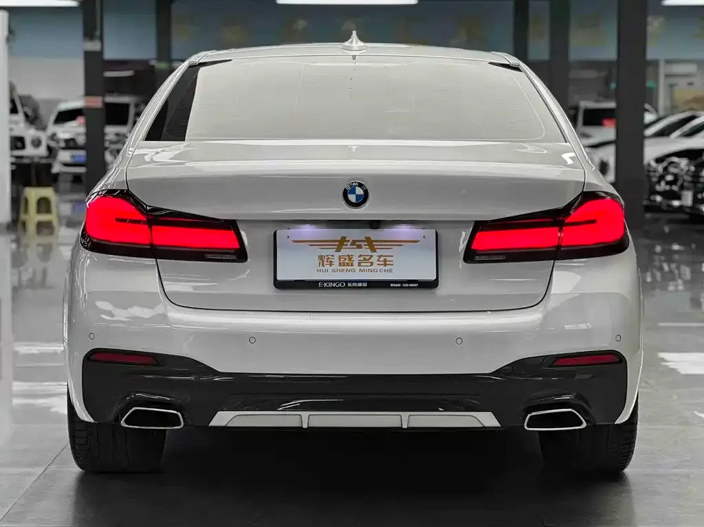 BMW 5 Series 2023 из CN, фото 2