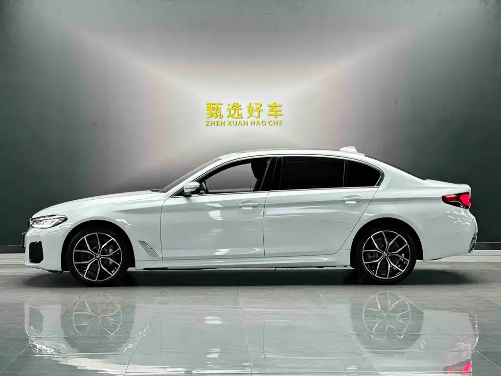 BMW 5 Series 2023 из CN, фото 3
