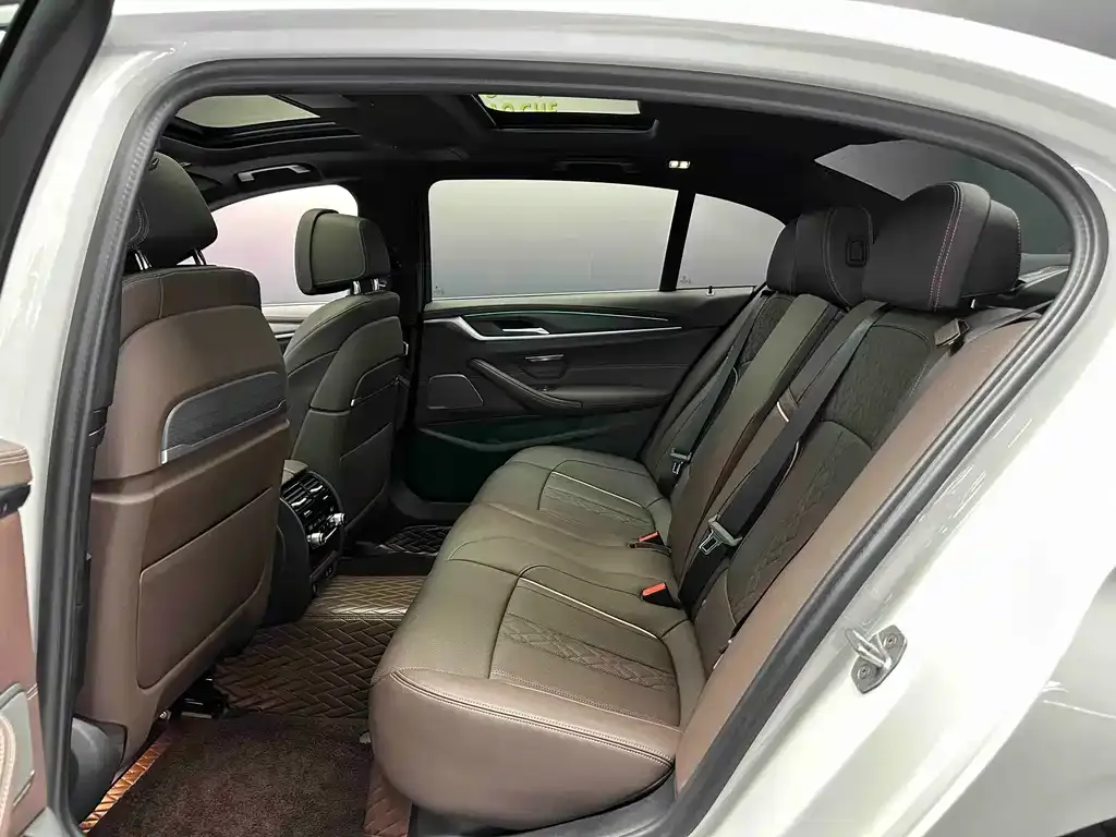 BMW 5 Series 2023 из CN, фото 6