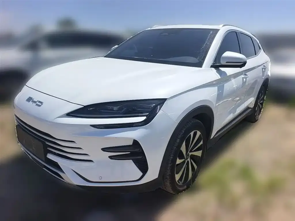 BYD PLUS New Energy 2023 из CN, фото 1