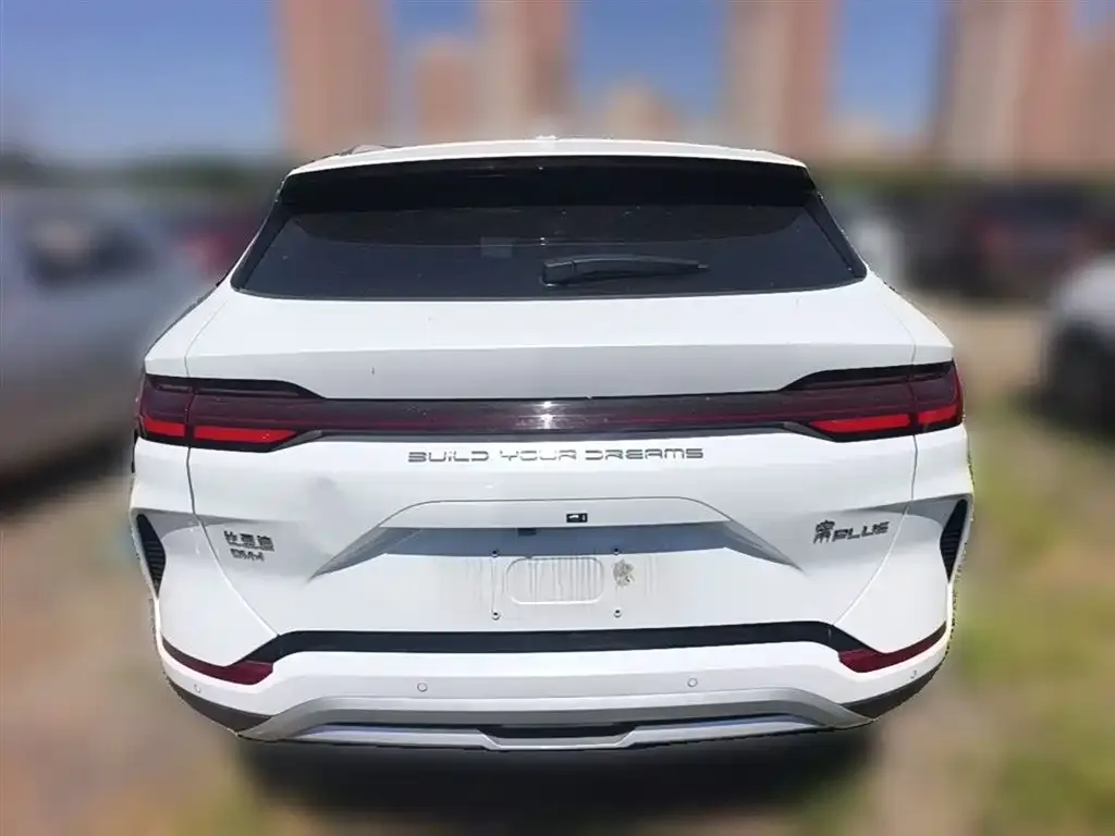 BYD PLUS New Energy 2023 из CN, фото 7