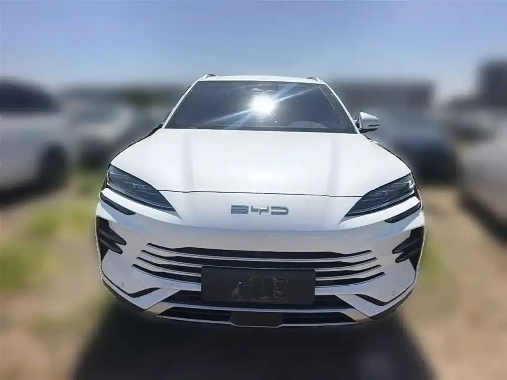 BYD PLUS New Energy 2023 из CN, фото 2