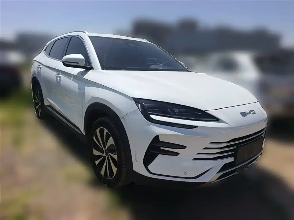 BYD PLUS New Energy 2023 из CN, фото 4