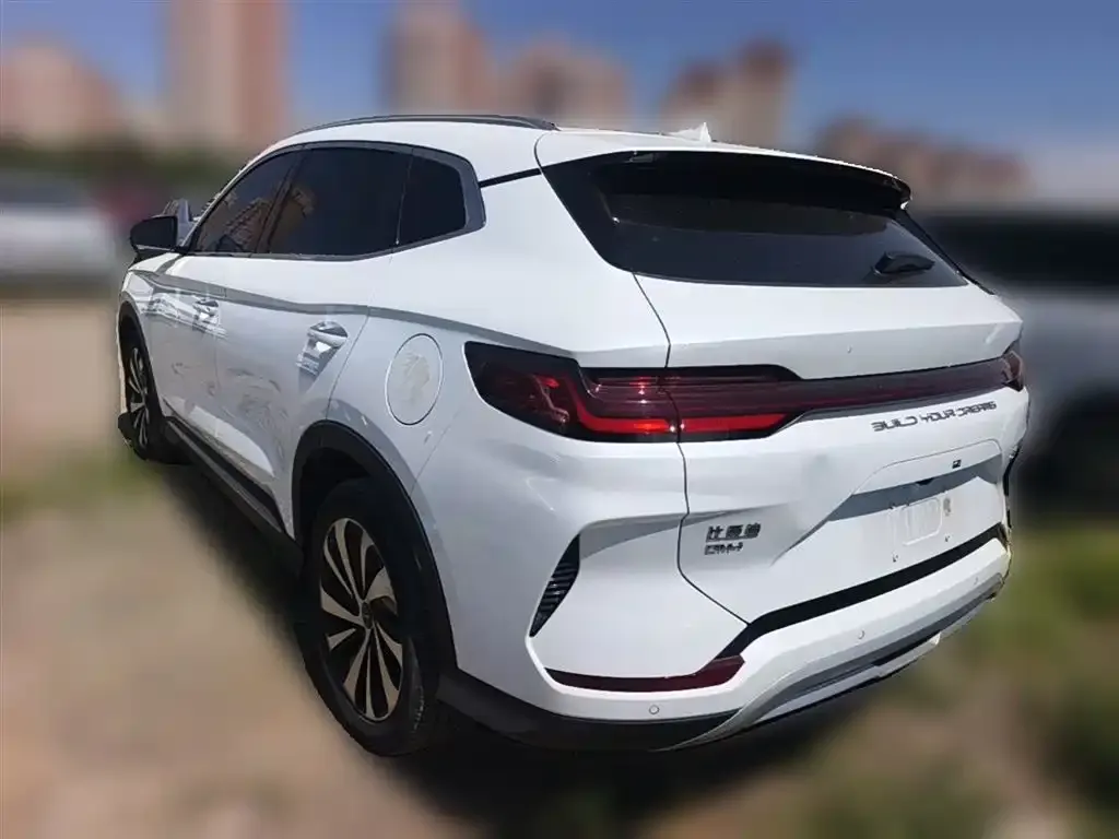 BYD PLUS New Energy 2023 из CN, фото 8