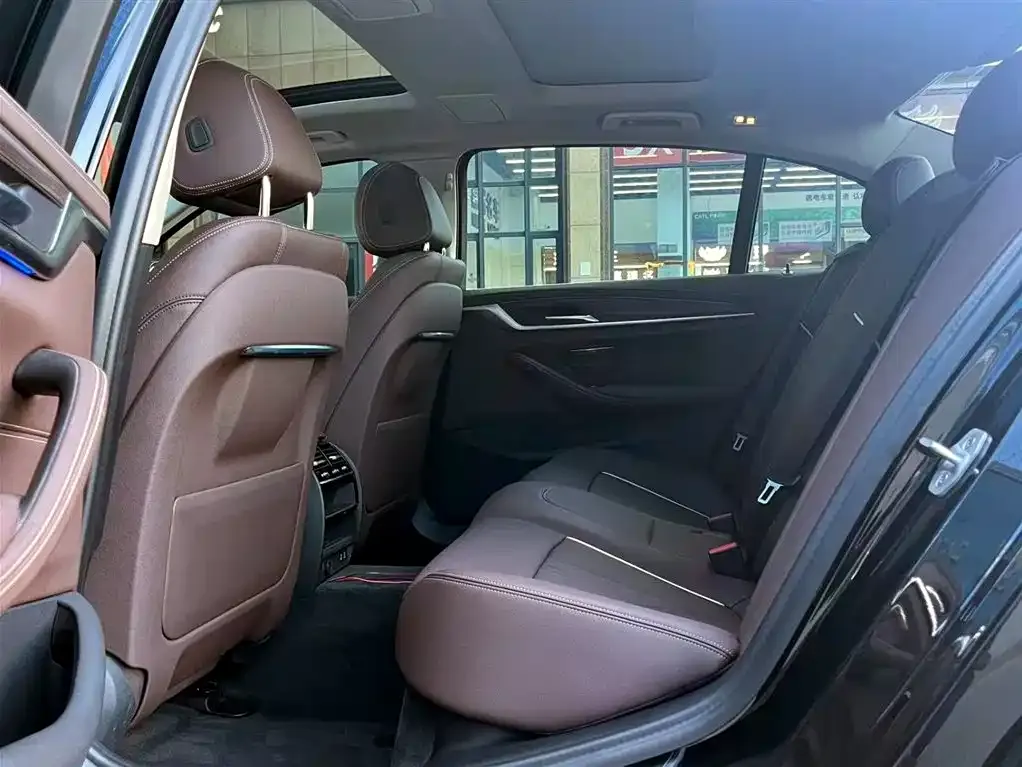 BMW 5 Series 2021 из CN, фото 4