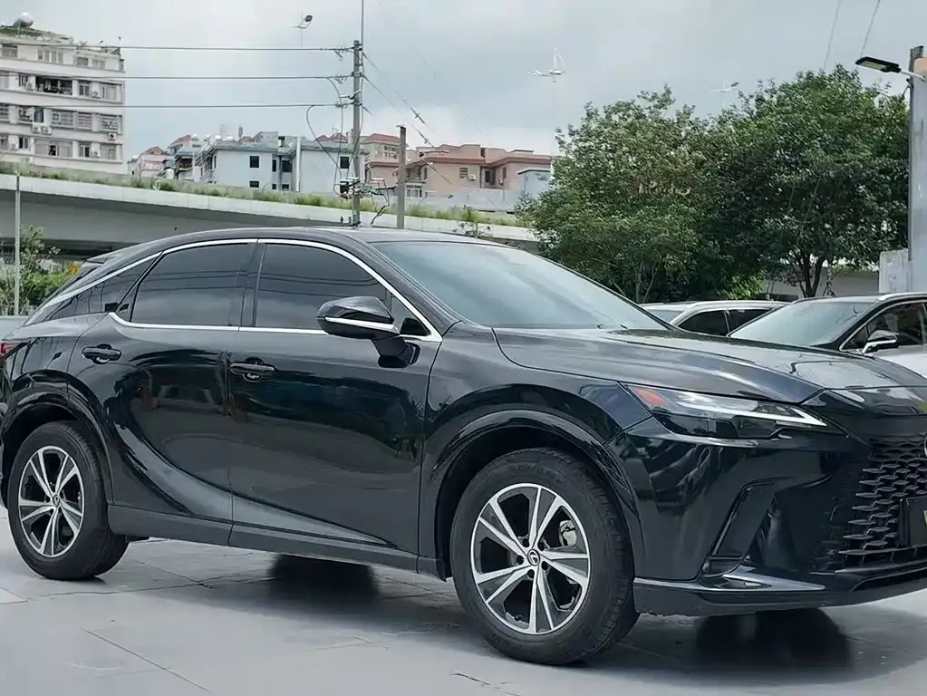 Lexus RX — фото 10