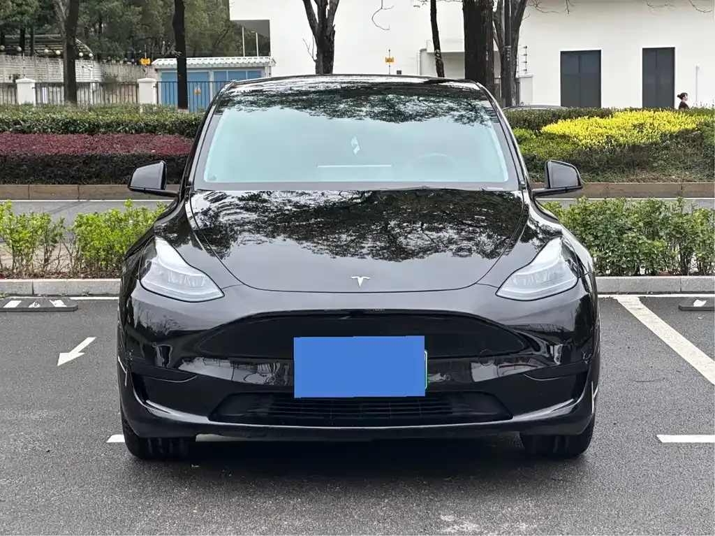 Tesla Model Y — фото 8