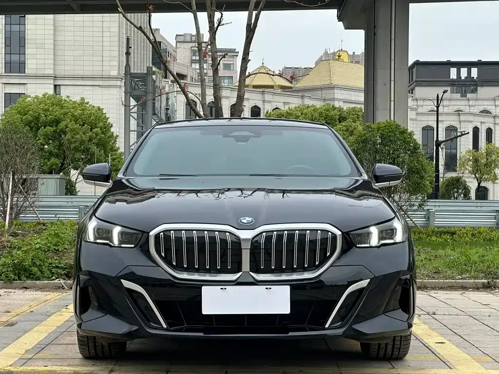 BMW 5 Series 2024 из CN, фото 5