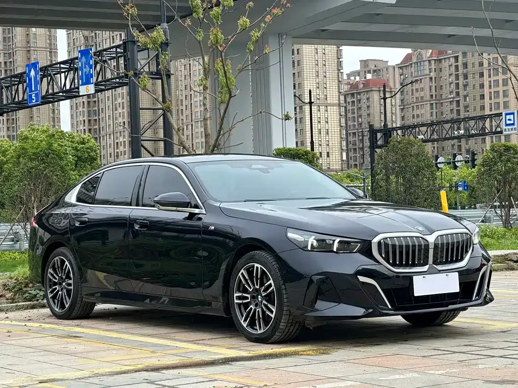BMW 5 Series 2024 из CN, фото 6