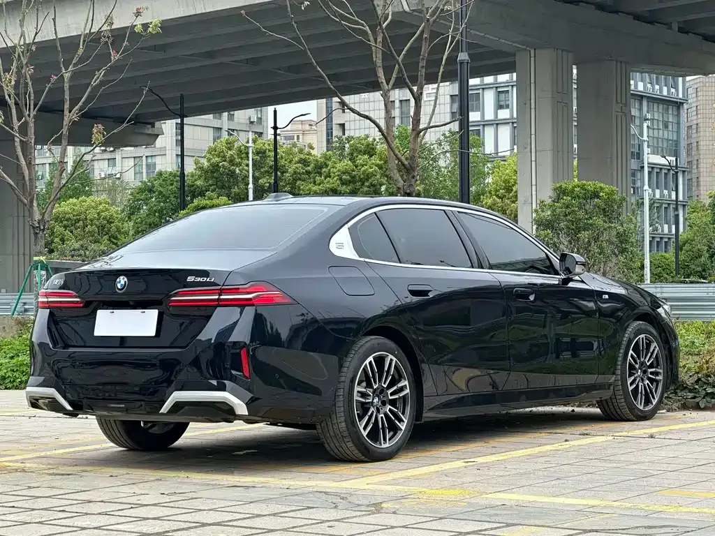 BMW 5 Series 2024 из CN, фото 8