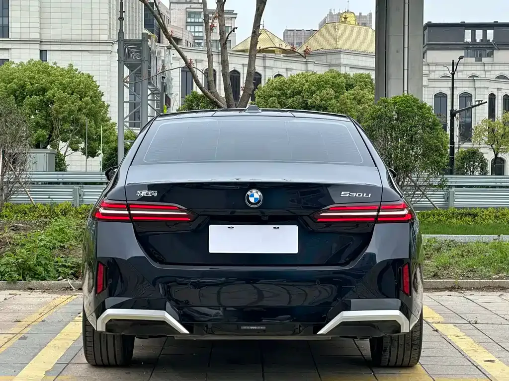 BMW 5 Series 2024 из CN, фото 10