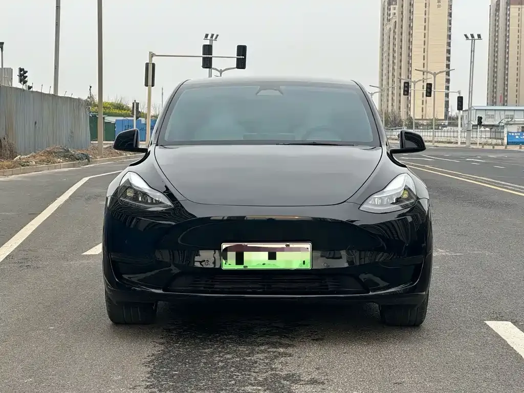 Tesla Model Y — фото 10
