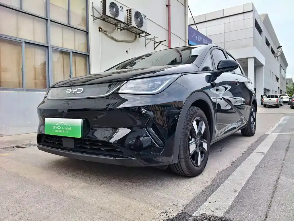 BYD Dolphin 2025 из CN, фото 1