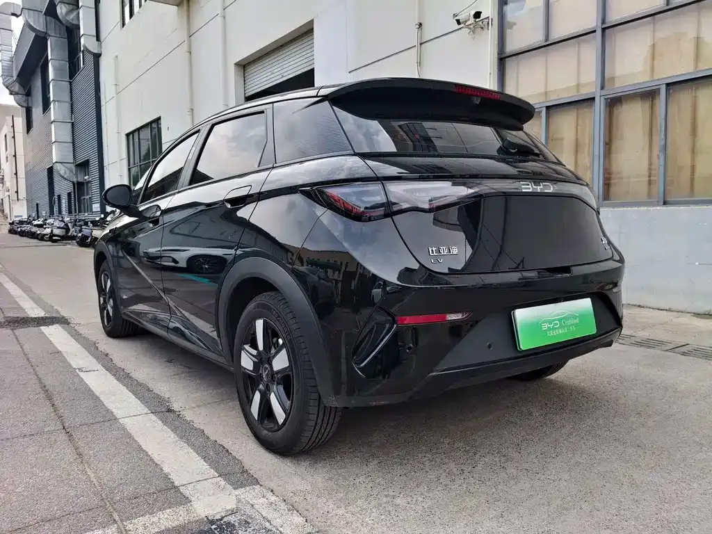 BYD Dolphin 2025 из CN, фото 9