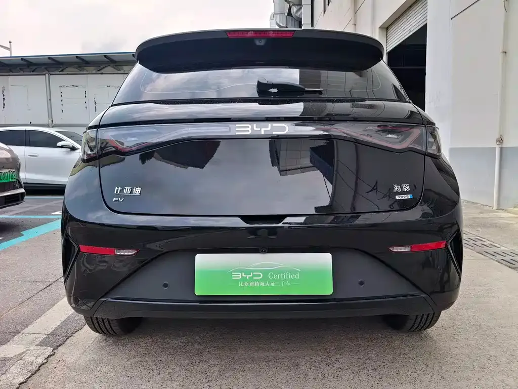BYD Dolphin 2025 из CN, фото 4