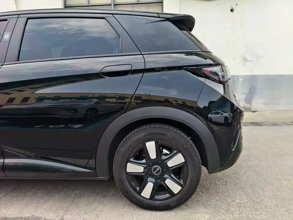 BYD Dolphin 2025 из CN, фото 3