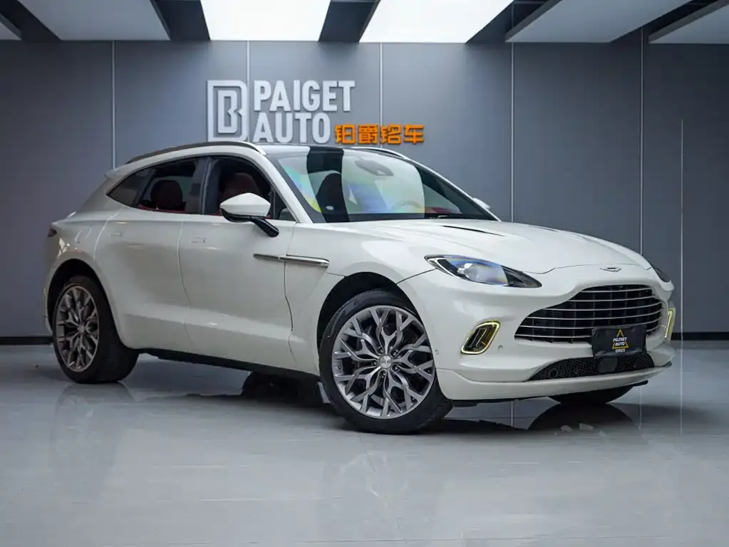 Aston Martin DBX 2021 из CN, фото 10