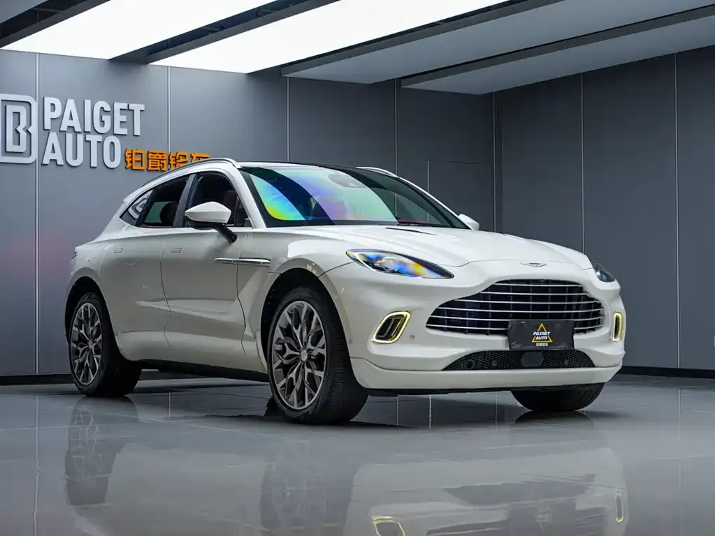 Aston Martin DBX 2021 из CN, фото 9