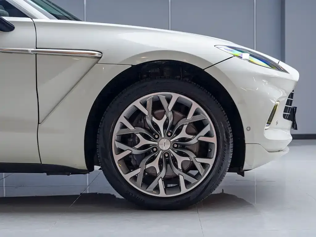 Aston Martin DBX 2021 из CN, фото 3