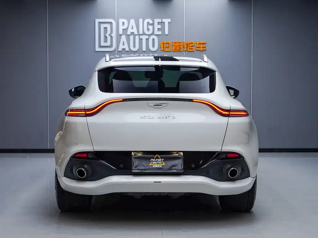 Aston Martin DBX 2021 из CN, фото 5