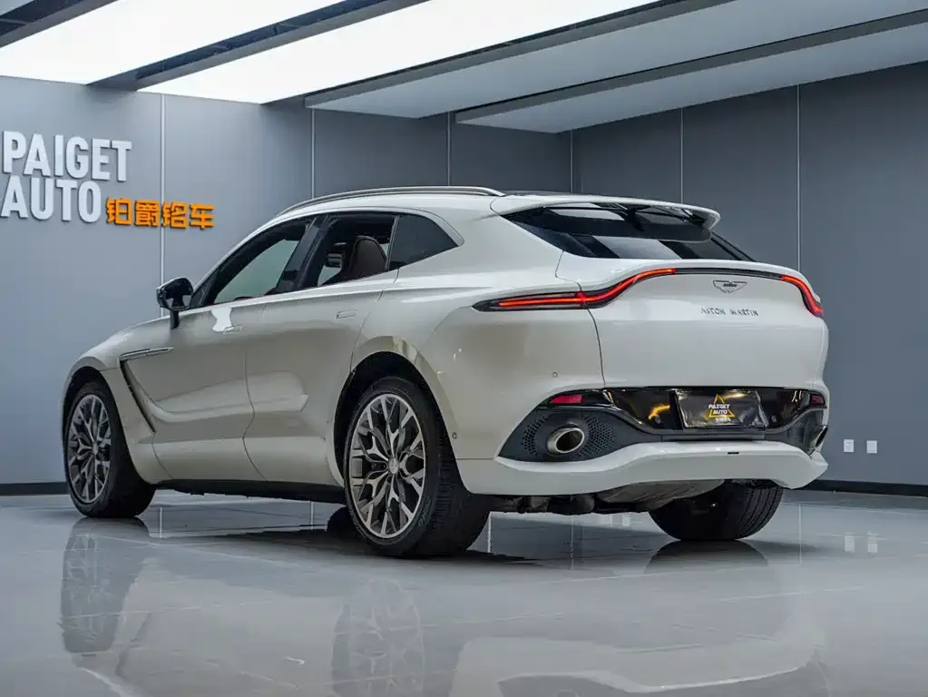 Aston Martin DBX 2021 из CN, фото 4