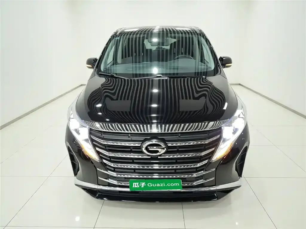GAC Motor Trumpchi M8 — фото 8