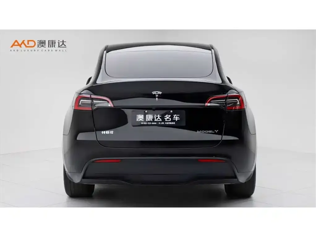 Tesla Model Y — фото 8