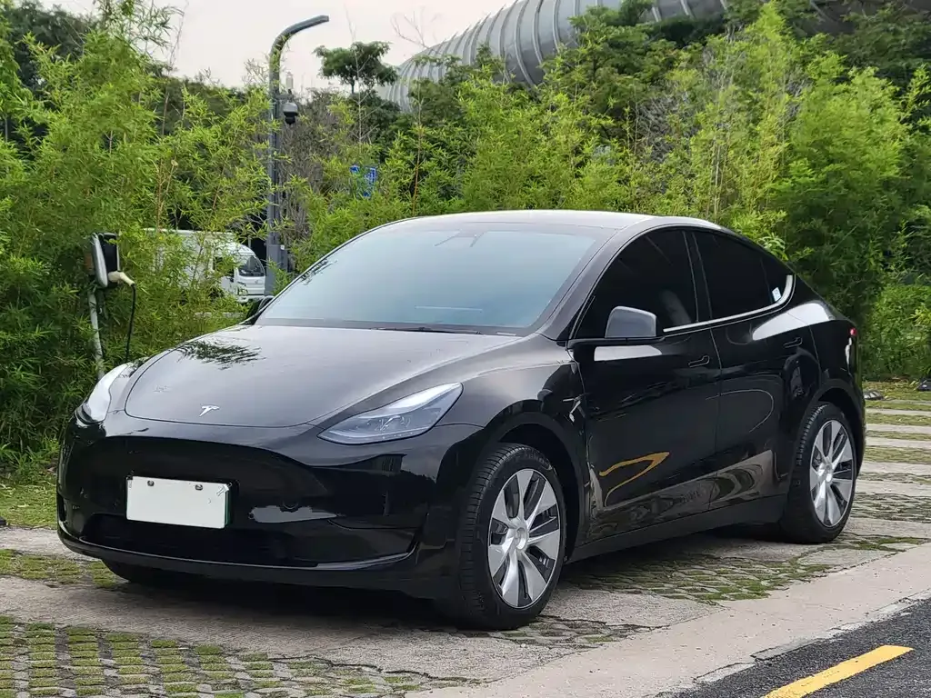 Tesla Model Y — фото 1