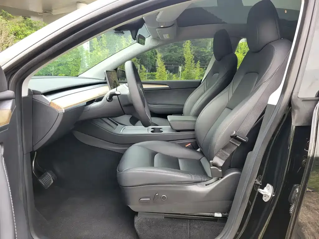 Tesla Model Y — фото 2