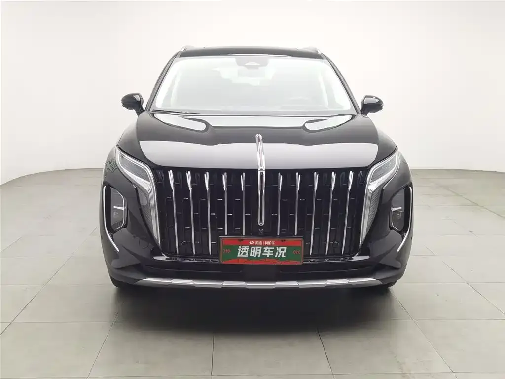 Hongqi HS7 2023 из CN, фото 3