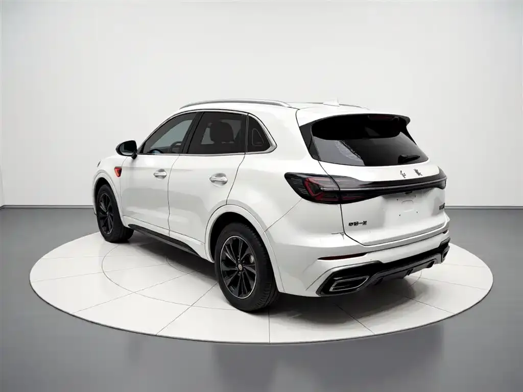 Hongqi HS5 2023 из CN, фото 2