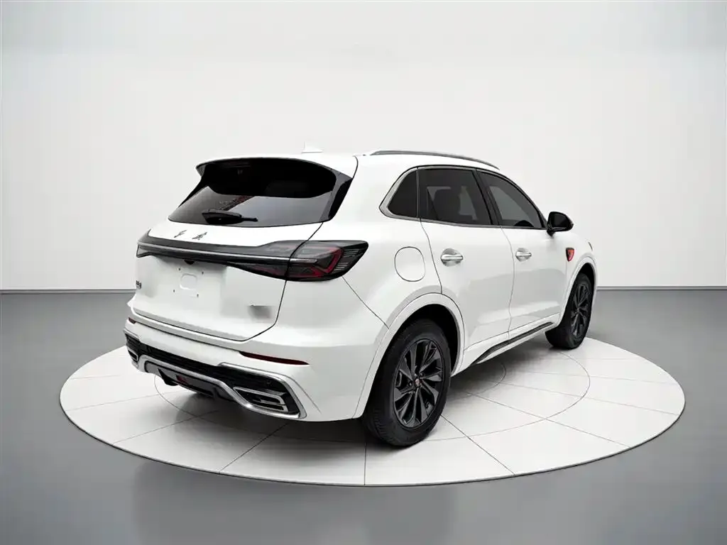 Hongqi HS5 2023 из CN, фото 8