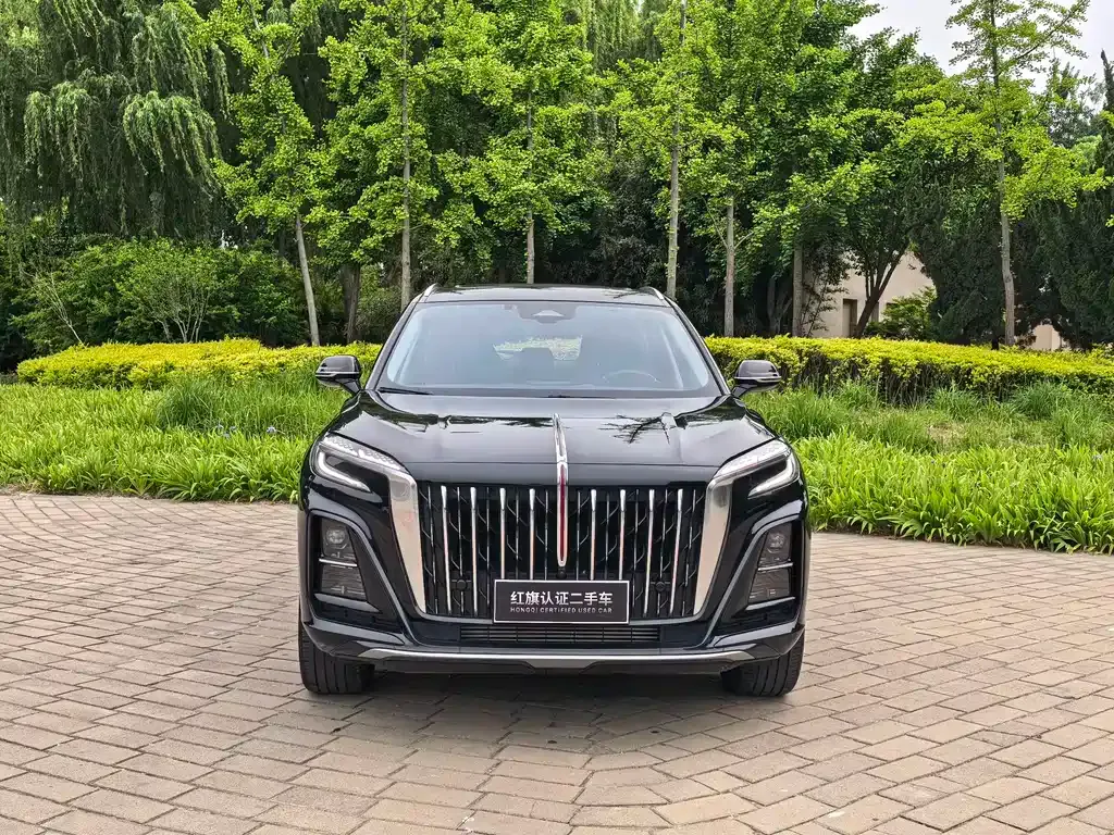 Hongqi HS3 PHEV 2024 из CN, фото 10