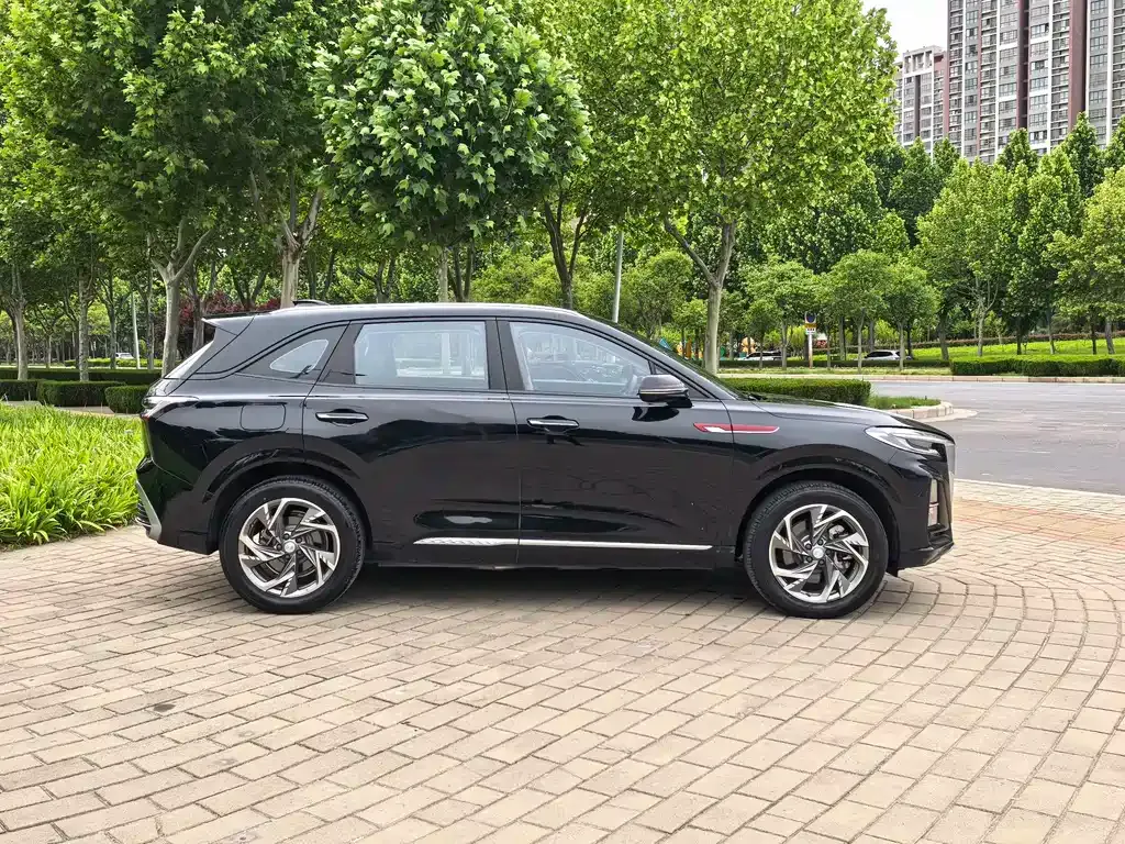 Hongqi HS3 PHEV 2024 из CN, фото 6