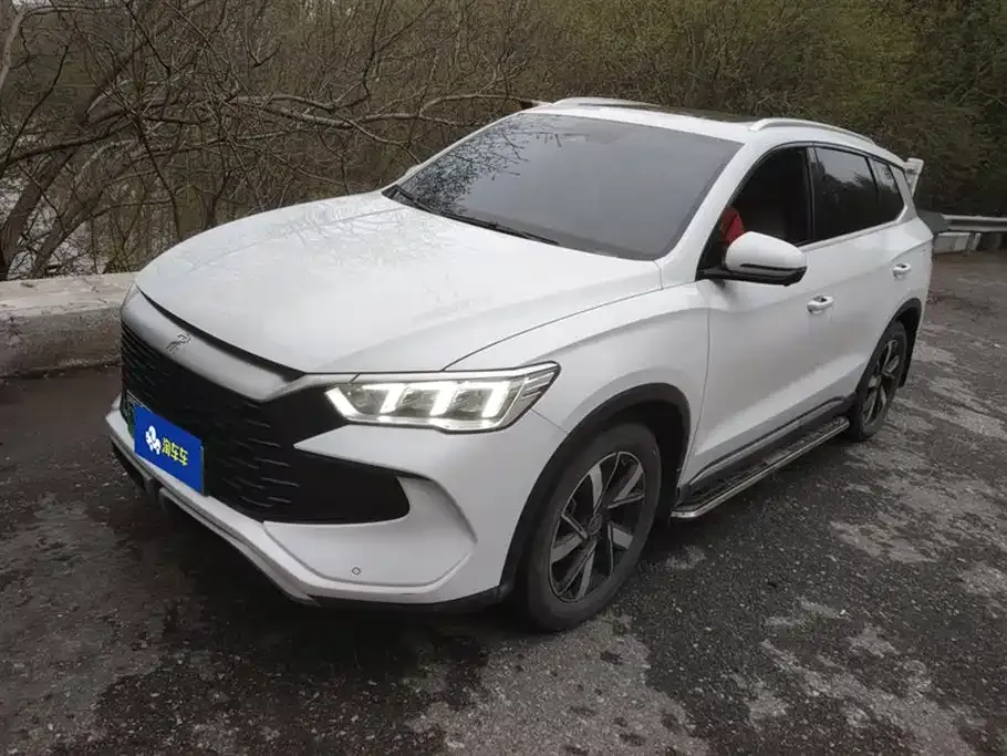 BYD Pro New Energy 2024 из CN, фото 1