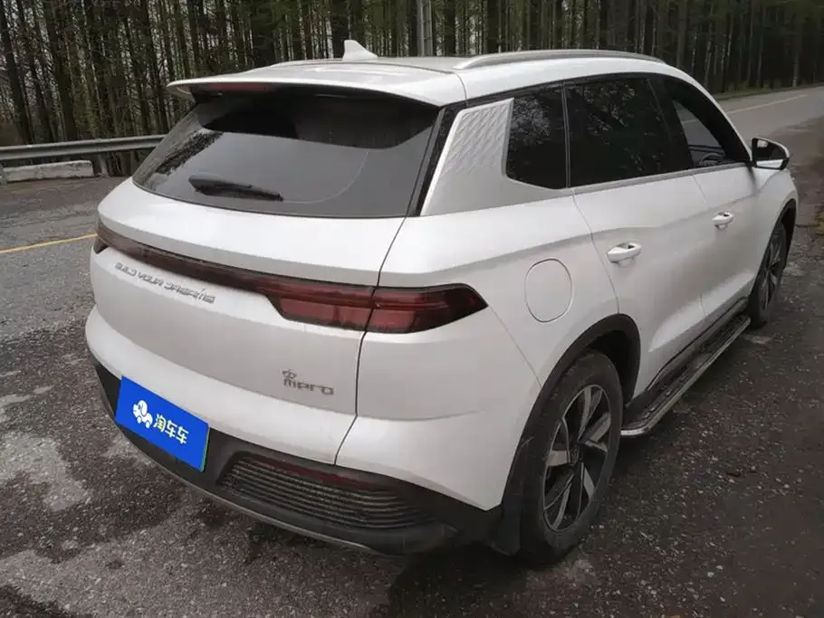 BYD Pro New Energy 2024 из CN, фото 8