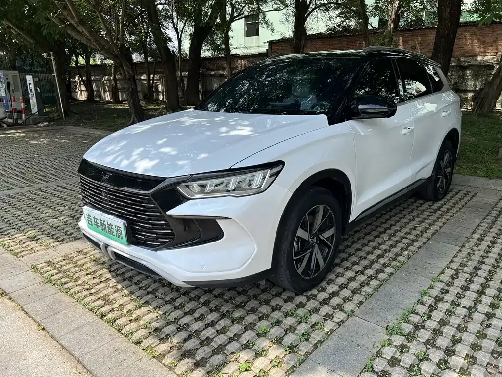 BYD Pro New Energy