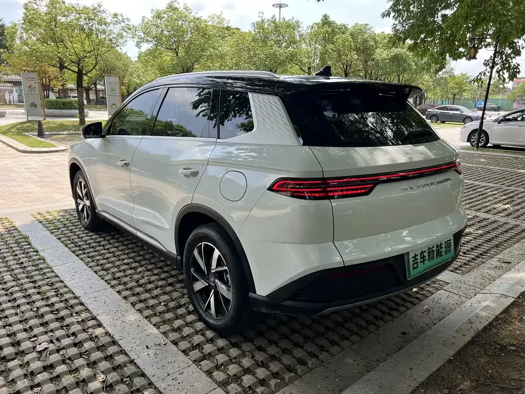 BYD Pro New Energy 2024 из CN, фото 9