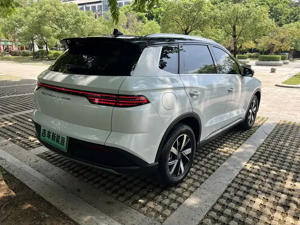 BYD Pro New Energy 2024 из CN, фото 7